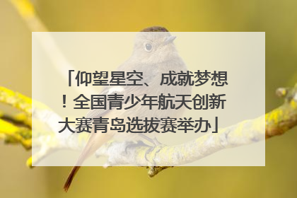 仰望星空、成就梦想！全国青少年航天创新大赛青岛选拔赛举办