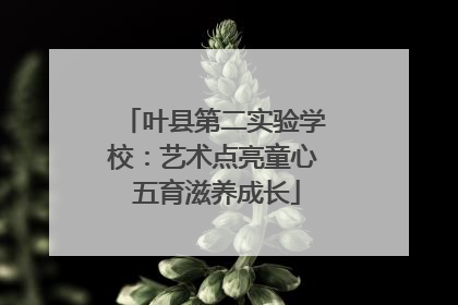 叶县第二实验学校：艺术点亮童心 五育滋养成长