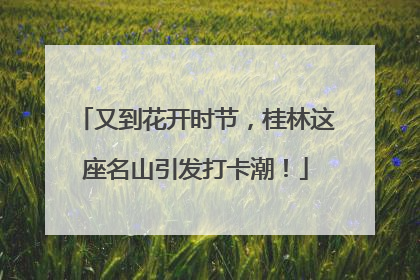 又到花开时节，桂林这座名山引发打卡潮！