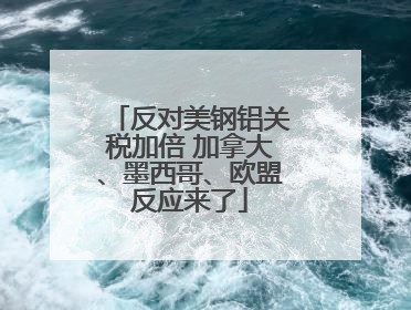 反对美钢铝关税加倍 加拿大、墨西哥、欧盟反应来了