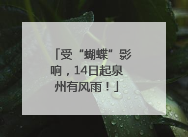 受“蝴蝶”影响，14日起泉州有风雨！