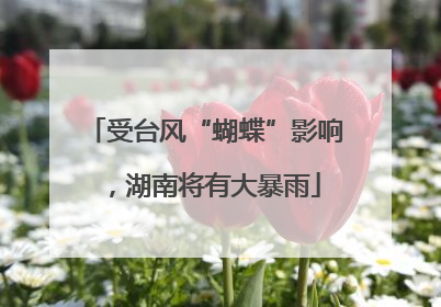 受台风“蝴蝶”影响，湖南将有大暴雨