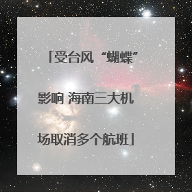 受台风“蝴蝶”影响 海南三大机场取消多个航班