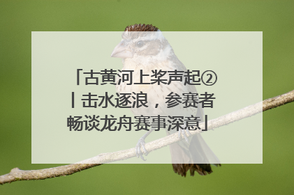 古黄河上桨声起②丨击水逐浪，参赛者畅谈龙舟赛事深意
