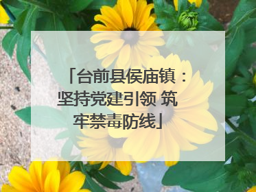 台前县侯庙镇：坚持党建引领 筑牢禁毒防线