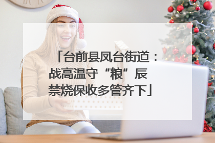 台前县凤台街道：战高温守“粮”辰 禁烧保收多管齐下