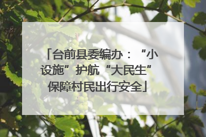 台前县委编办：“小设施”护航“大民生” 保障村民出行安全