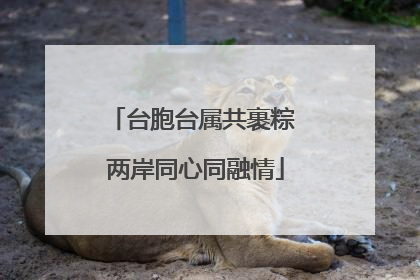 台胞台属共裹粽 两岸同心同融情