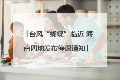 台风“蝴蝶”临近 海南四地发布停课通知