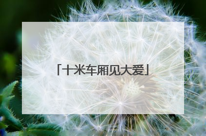 十米车厢见大爱
