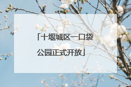 十堰城区一口袋公园正式开放