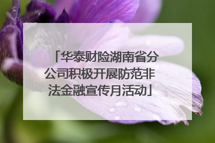 华泰财险湖南省分公司积极开展防范非法金融宣传月活动