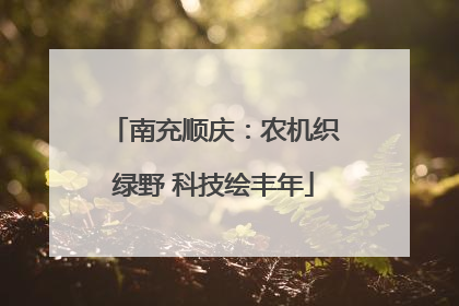 南充顺庆：农机织绿野 科技绘丰年