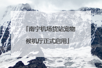 南宁机场货站宠物候机厅正式启用