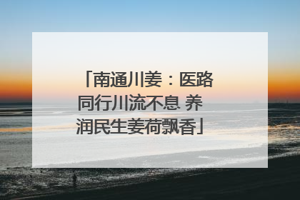 南通川姜：医路同行川流不息 养润民生姜荷飘香