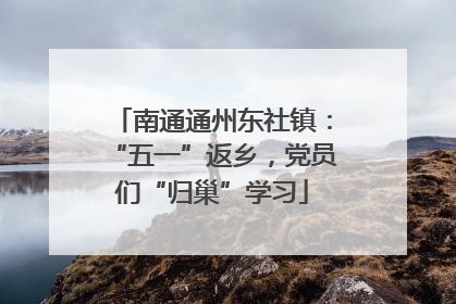 南通通州东社镇：“五一”返乡，党员们“归巢”学习