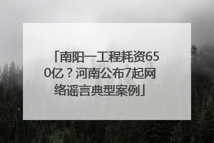 南阳一工程耗资650亿？河南公布7起网络谣言典型案例