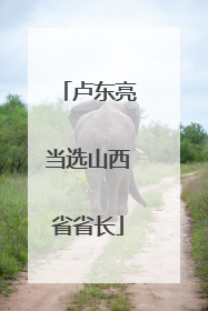 卢东亮当选山西省省长