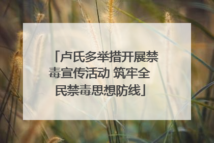 卢氏多举措开展禁毒宣传活动 筑牢全民禁毒思想防线