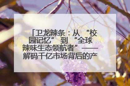 卫龙辣条：从 “校园记忆” 到 “全球辣味生态领航者”——解码千亿市场背后的产品创新与全链路破圈