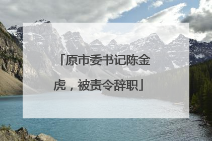 原市委书记陈金虎，被责令辞职