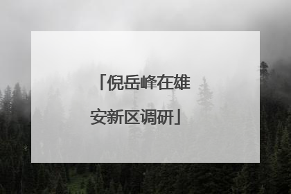 倪岳峰在雄安新区调研