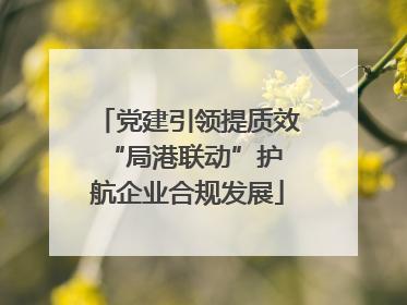 党建引领提质效 “局港联动”护航企业合规发展