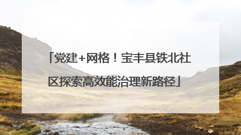 党建+网格！宝丰县铁北社区探索高效能治理新路径