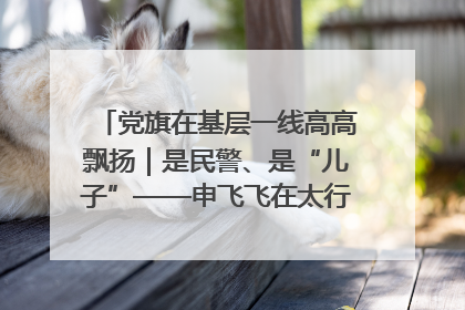 党旗在基层一线高高飘扬｜是民警、是“儿子”——申飞飞在太行山中的一线坚守