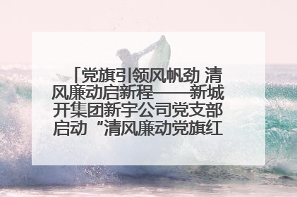 党旗引领风帆劲 清风廉动启新程——新城开集团新宇公司党支部启动“清风廉动党旗红”系列活动