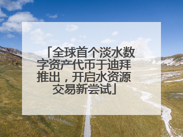 全球首个淡水数字资产代币于迪拜推出，开启水资源交易新尝试