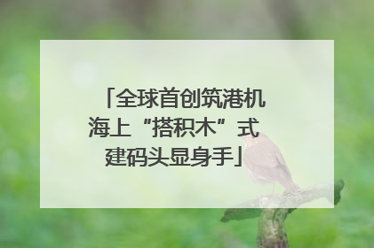 全球首创筑港机海上“搭积木”式建码头显身手