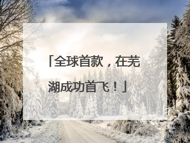 全球首款，在芜湖成功首飞！