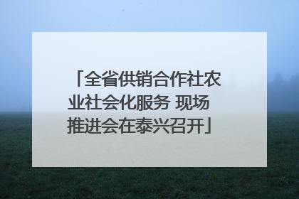 全省供销合作社农业社会化服务 现场推进会在泰兴召开