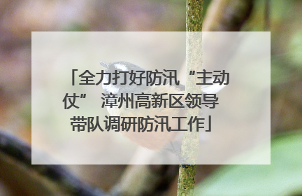 全力打好防汛“主动仗” 漳州高新区领导带队调研防汛工作