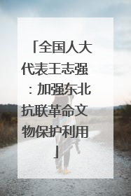 全国人大代表王志强：加强东北抗联革命文物保护利用