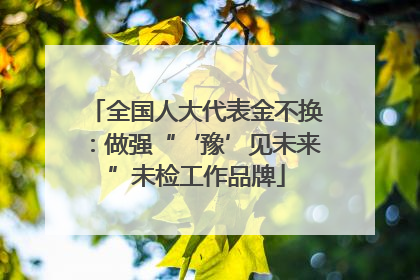 全国人大代表金不换：做强“‘豫’见未来”未检工作品牌