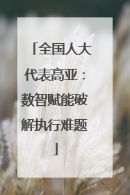 全国人大代表高亚：数智赋能破解执行难题