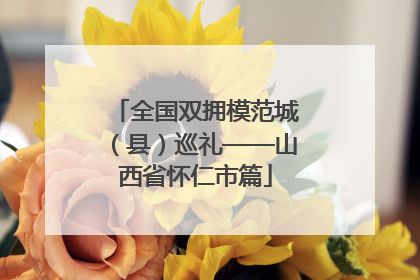 全国双拥模范城（县）巡礼——山西省怀仁市篇