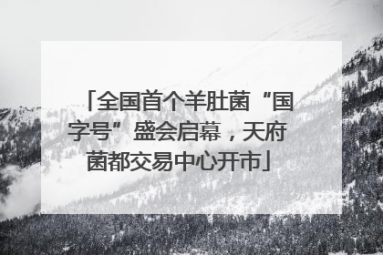 全国首个羊肚菌“国字号”盛会启幕，天府菌都交易中心开市