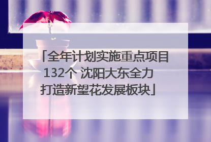全年计划实施重点项目132个 沈阳大东全力打造新望花发展板块