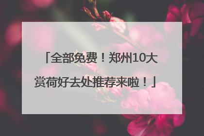全部免费！郑州10大赏荷好去处推荐来啦！