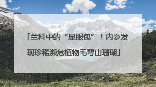 兰科中的“显眼包”！内乡发现珍稀濒危植物毛萼山珊瑚