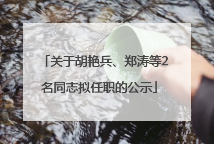 关于胡艳兵、郑涛等2名同志拟任职的公示