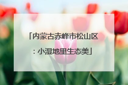 内蒙古赤峰市松山区：小湿地里生态美