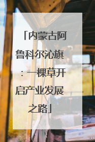 内蒙古阿鲁科尔沁旗：一棵草开启产业发展之路