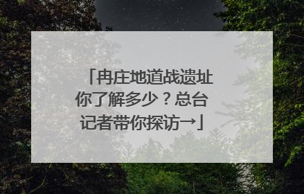 冉庄地道战遗址你了解多少？总台记者带你探访→