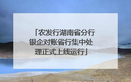 农发行湖南省分行银企对账省行集中处理正式上线运行
