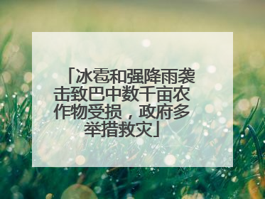 冰雹和强降雨袭击致巴中数千亩农作物受损，政府多举措救灾