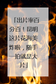 出片率百分百！昆明这片花海美炸啦，随手一拍就是大片